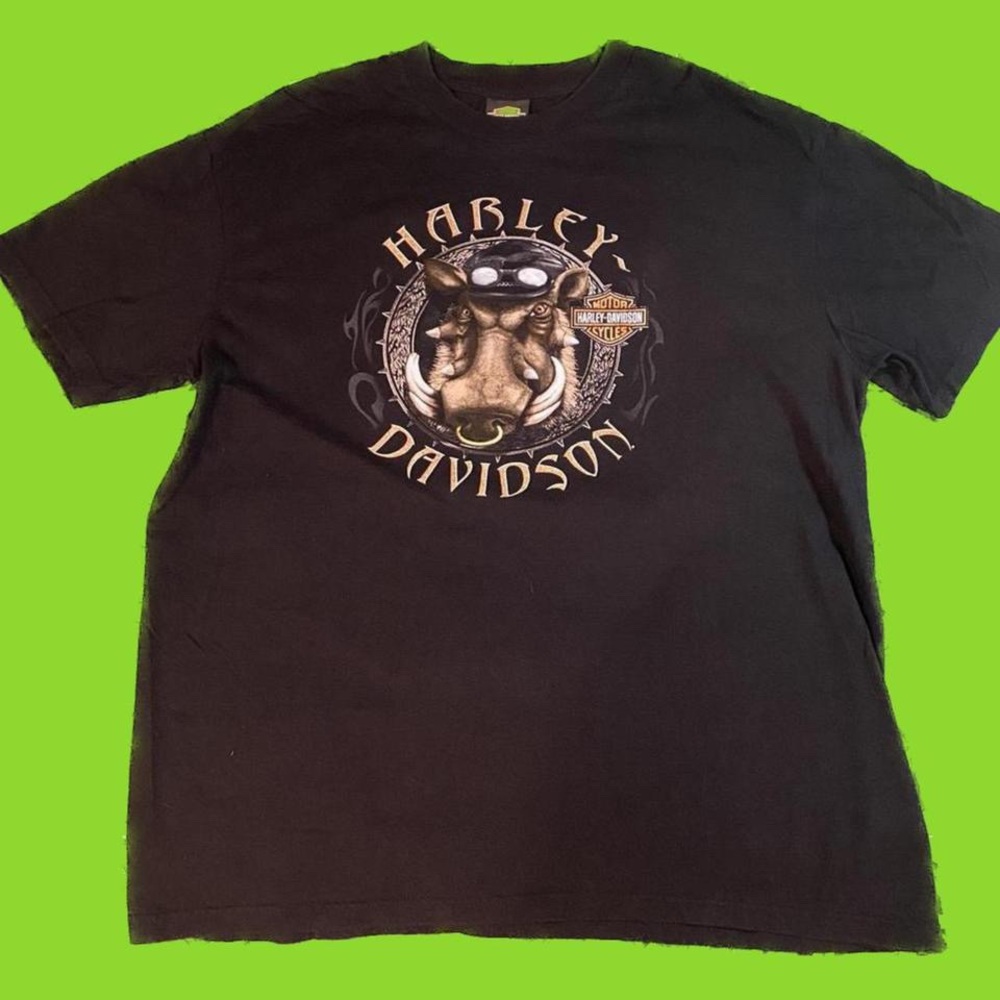 Rare VTG Harley Davidson Mens XL Clinton Township, MI. Blue Water Bridge Graphic